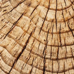 Indoor/Outdoor Faux Concrete Stump Accent Table Brown - Threshold™ Designed With Studio McGee -Furni Style Shop GUEST 03deabfd 2b62 4725 94b4 09a321ea8678