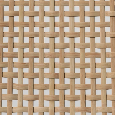 Tormod Backed Cane Dining Chair - Threshold™ 7 Tormod Backed Cane Dining Chair - Threshold™ - Image 5