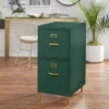 Dixie 2 Drawer Cabinet Green - Buylateral -Furni Style Shop GUEST cffd6f1a 3821 433e a721 80becbab625e